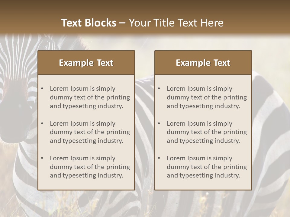 A Zebra Standing In A Field Of Tall Grass PowerPoint Template