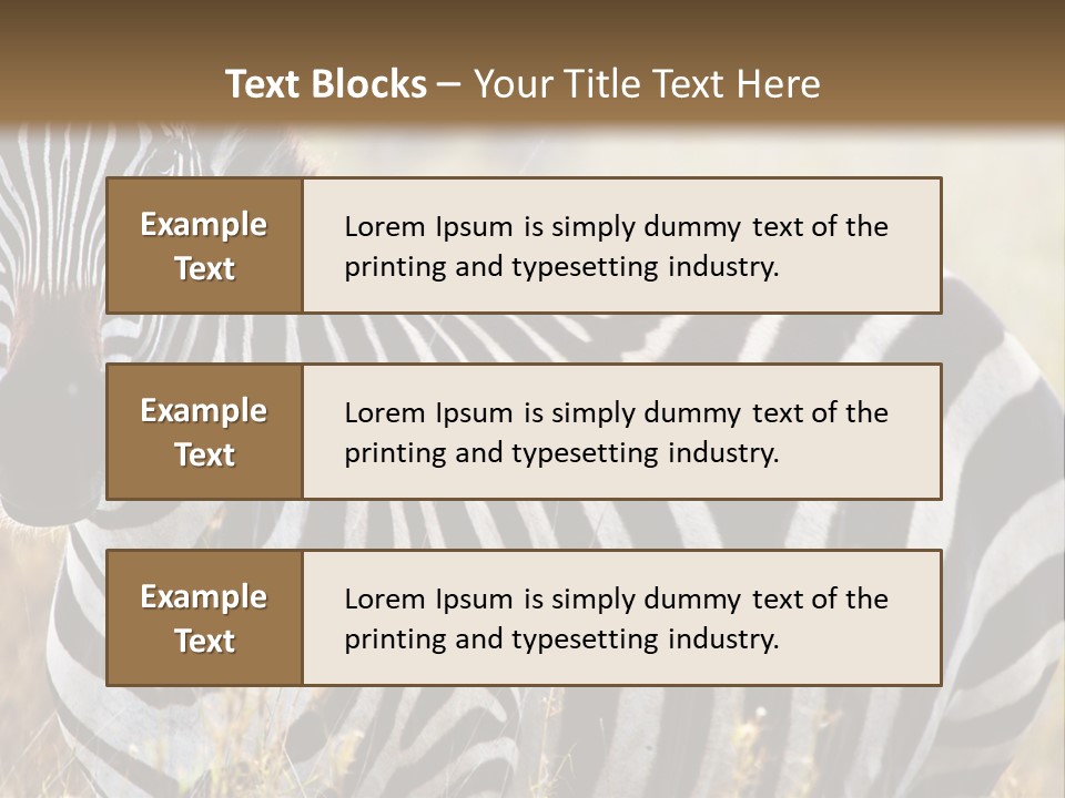 A Zebra Standing In A Field Of Tall Grass PowerPoint Template