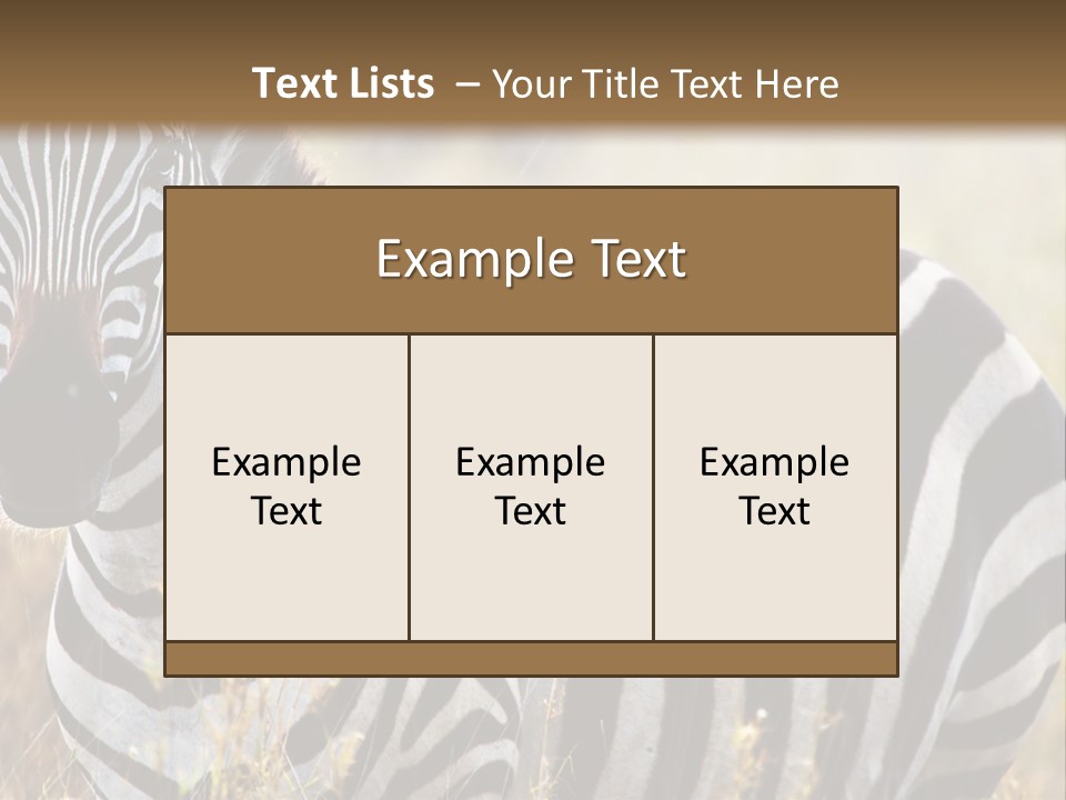 A Zebra Standing In A Field Of Tall Grass PowerPoint Template