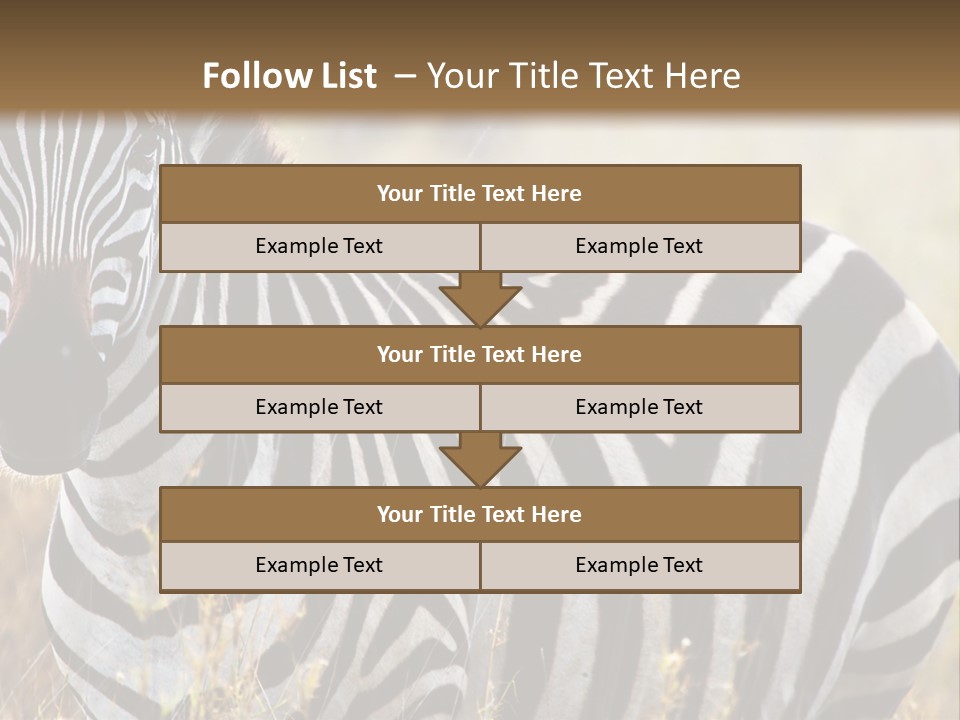 A Zebra Standing In A Field Of Tall Grass PowerPoint Template