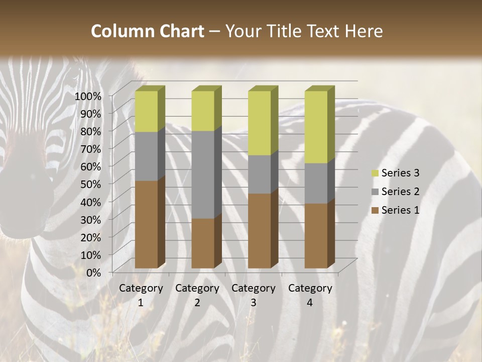 A Zebra Standing In A Field Of Tall Grass PowerPoint Template