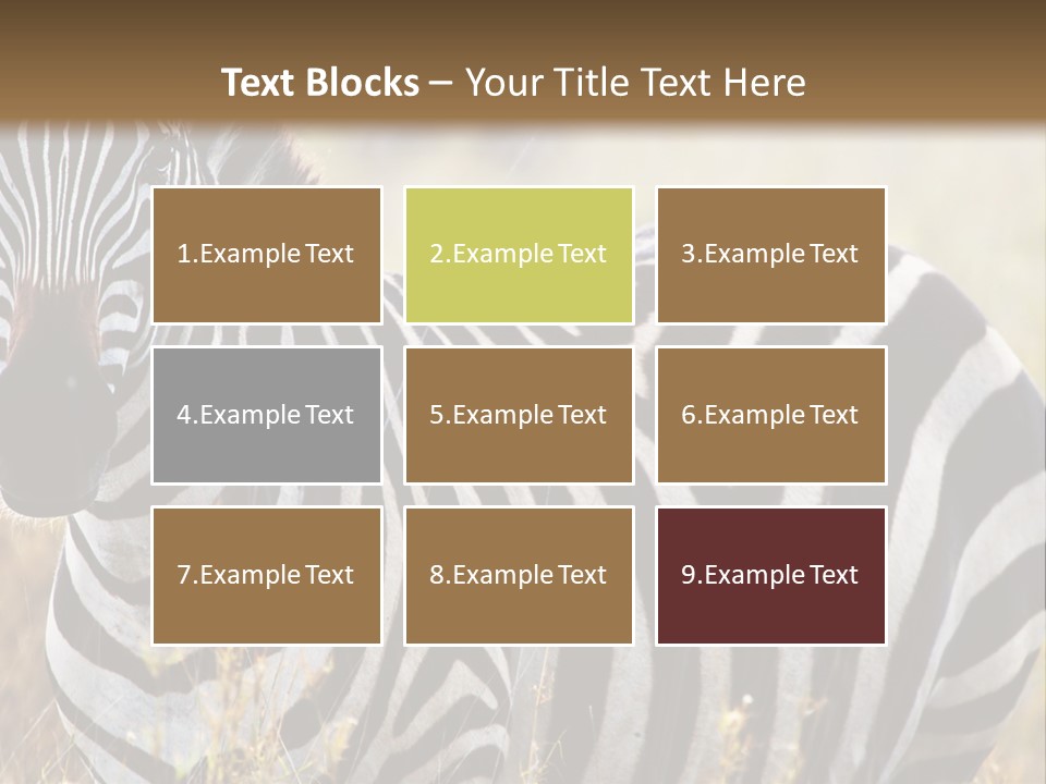 A Zebra Standing In A Field Of Tall Grass PowerPoint Template