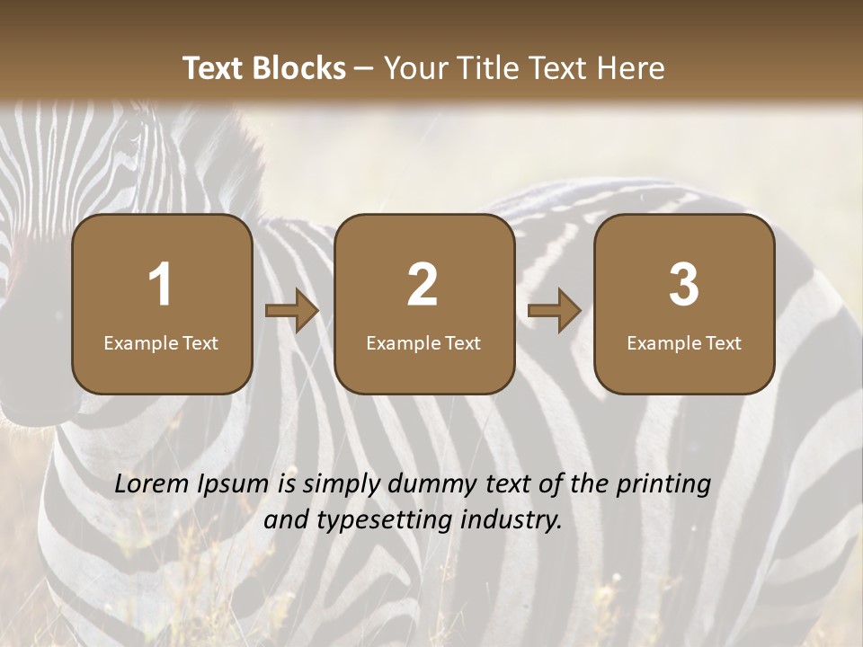 A Zebra Standing In A Field Of Tall Grass PowerPoint Template