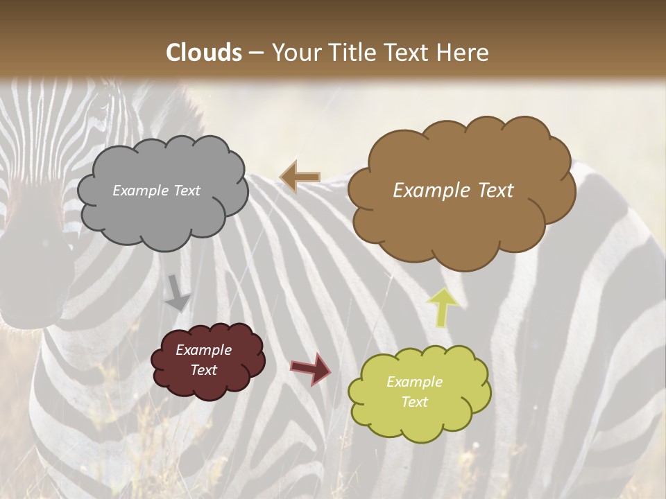 A Zebra Standing In A Field Of Tall Grass PowerPoint Template