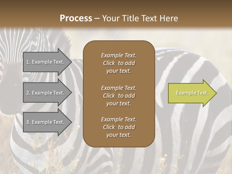 A Zebra Standing In A Field Of Tall Grass PowerPoint Template