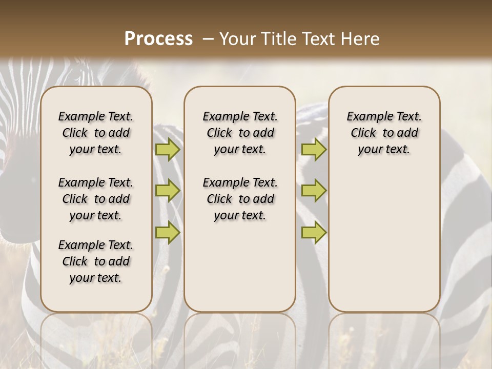 A Zebra Standing In A Field Of Tall Grass PowerPoint Template