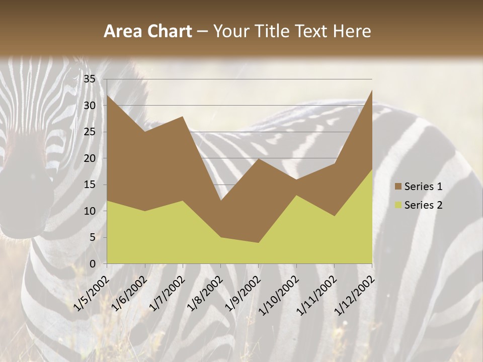 A Zebra Standing In A Field Of Tall Grass PowerPoint Template