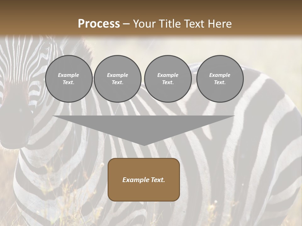 A Zebra Standing In A Field Of Tall Grass PowerPoint Template
