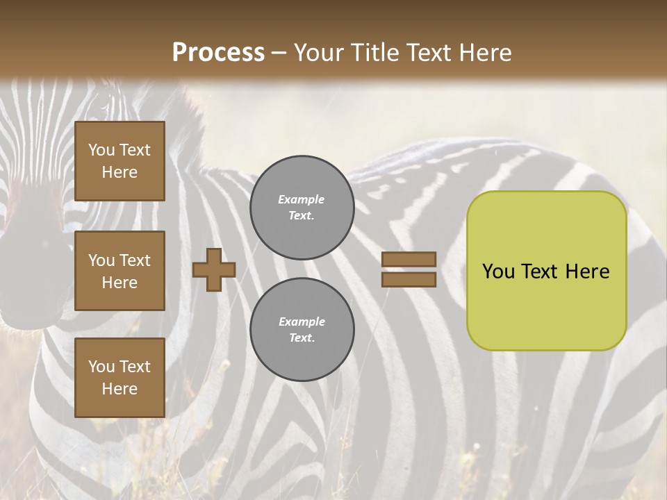 A Zebra Standing In A Field Of Tall Grass PowerPoint Template
