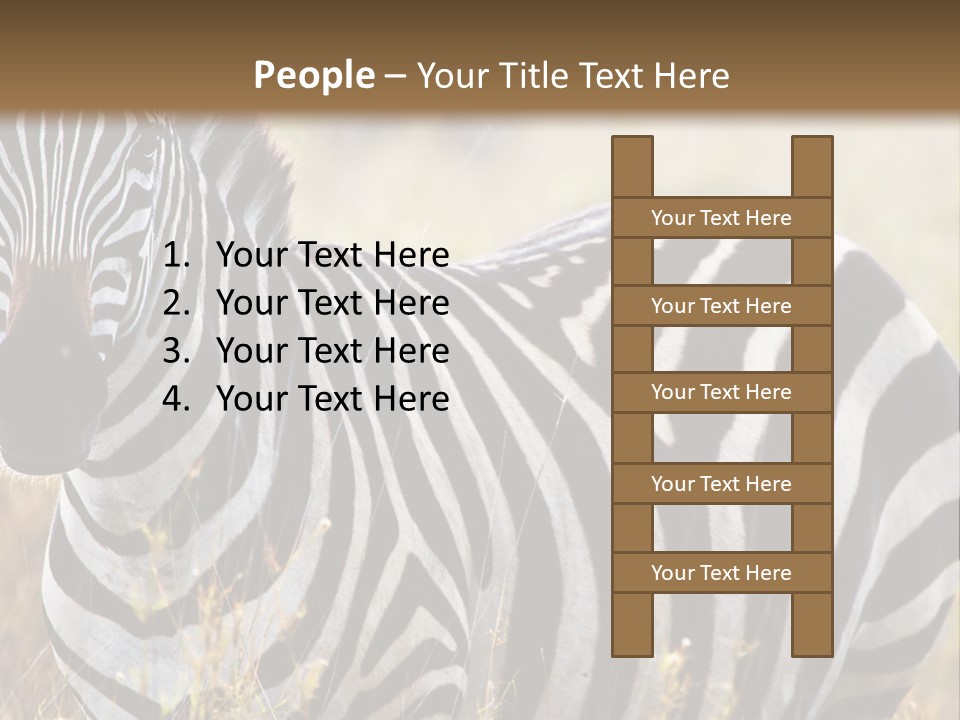 A Zebra Standing In A Field Of Tall Grass PowerPoint Template