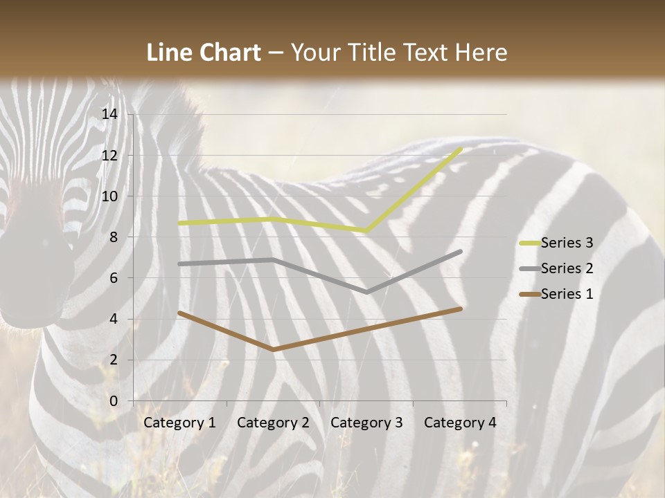 A Zebra Standing In A Field Of Tall Grass PowerPoint Template
