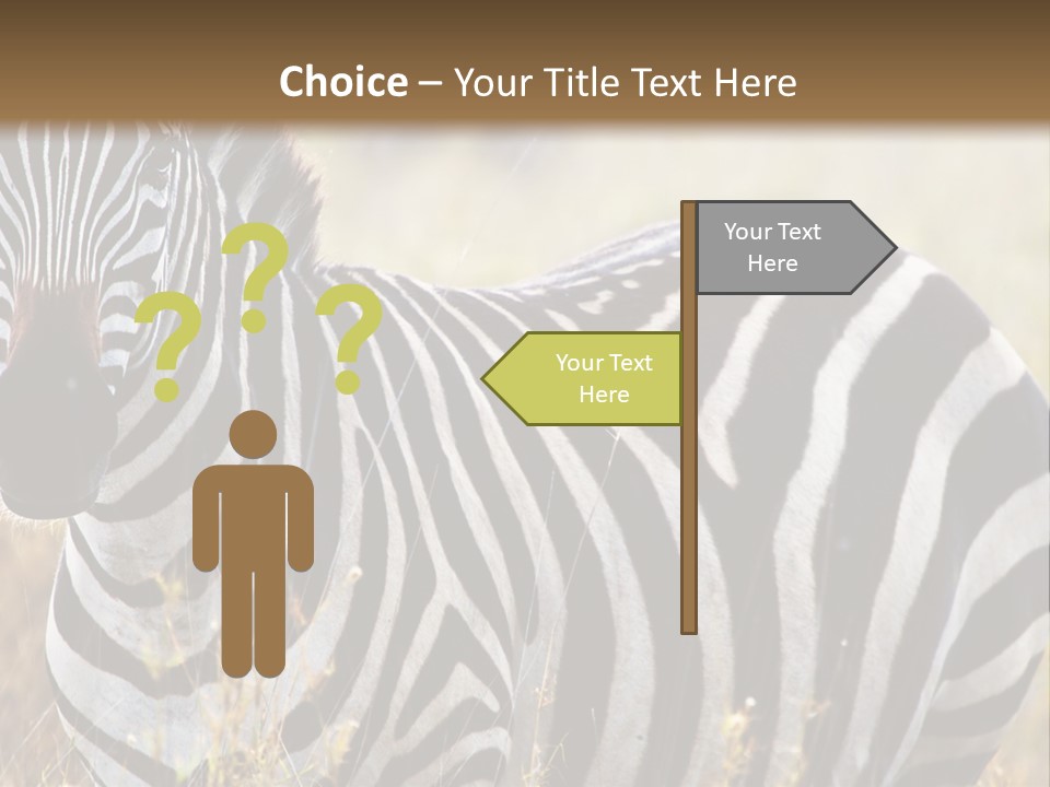 A Zebra Standing In A Field Of Tall Grass PowerPoint Template