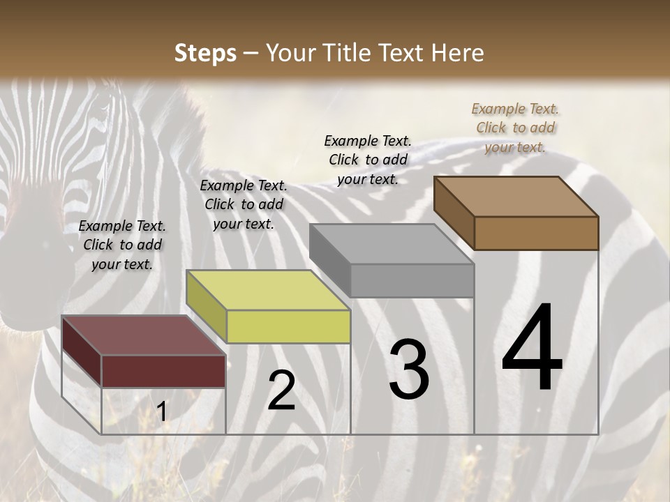 A Zebra Standing In A Field Of Tall Grass PowerPoint Template