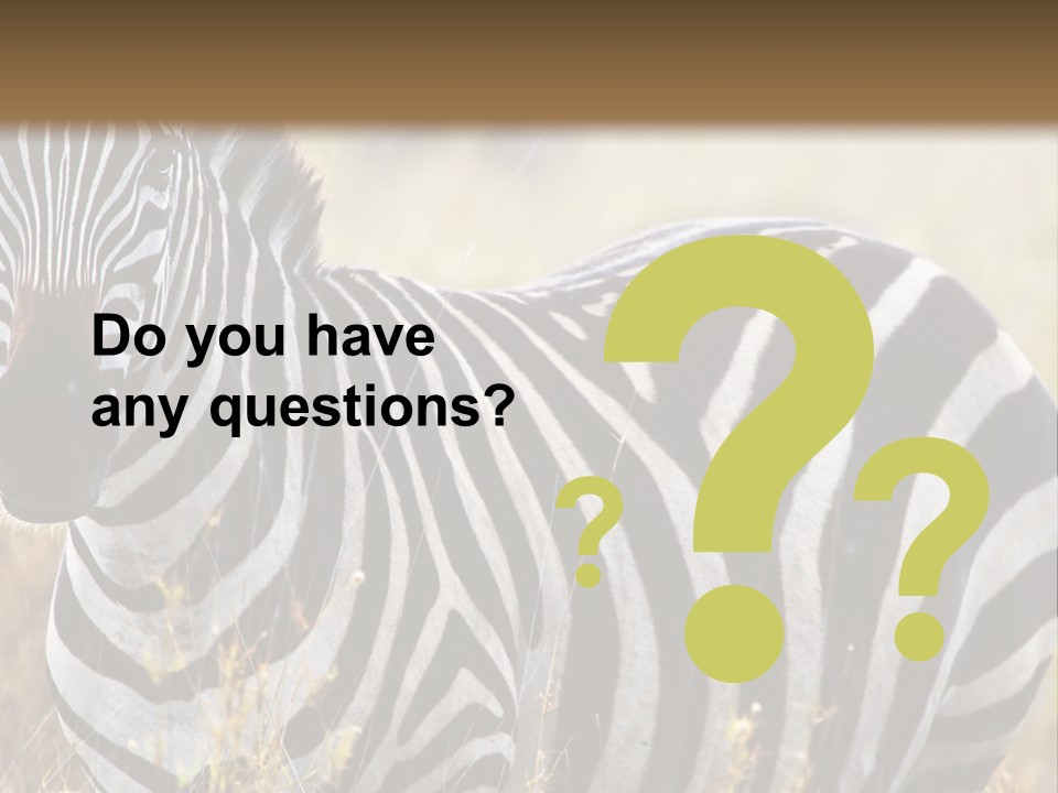 A Zebra Standing In A Field Of Tall Grass PowerPoint Template