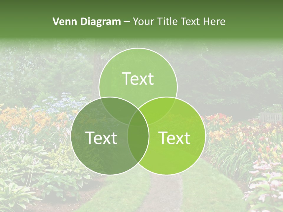 A Garden With Flowers And Trees In The Background PowerPoint Template