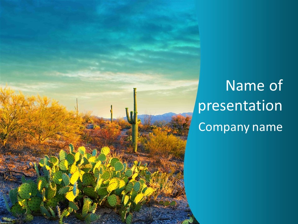A Cactus In The Desert With A Sky Background PowerPoint Template