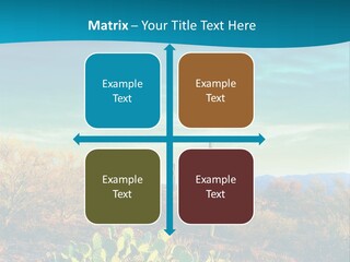 A Cactus In The Desert With A Sky Background PowerPoint Template