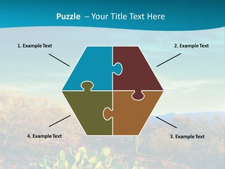 A Cactus In The Desert With A Sky Background PowerPoint Template