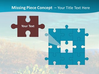 A Cactus In The Desert With A Sky Background PowerPoint Template