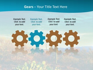 A Cactus In The Desert With A Sky Background PowerPoint Template