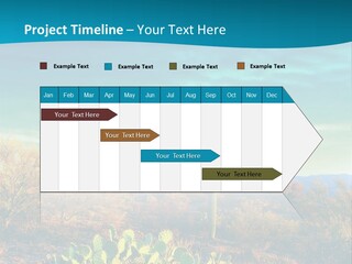 A Cactus In The Desert With A Sky Background PowerPoint Template