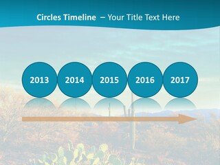 A Cactus In The Desert With A Sky Background PowerPoint Template