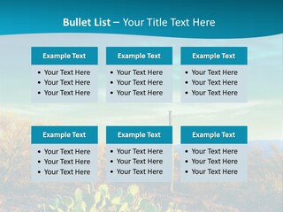 A Cactus In The Desert With A Sky Background PowerPoint Template