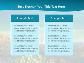 A Cactus In The Desert With A Sky Background PowerPoint Template