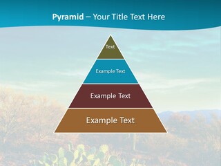 A Cactus In The Desert With A Sky Background PowerPoint Template