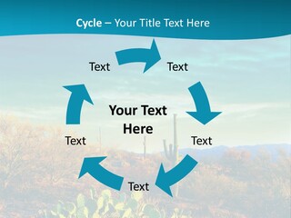 A Cactus In The Desert With A Sky Background PowerPoint Template
