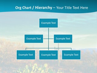 A Cactus In The Desert With A Sky Background PowerPoint Template