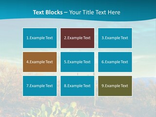 A Cactus In The Desert With A Sky Background PowerPoint Template