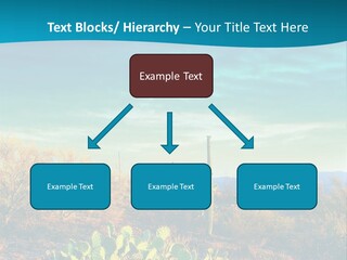 A Cactus In The Desert With A Sky Background PowerPoint Template