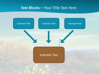 A Cactus In The Desert With A Sky Background PowerPoint Template