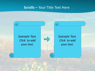 A Cactus In The Desert With A Sky Background PowerPoint Template