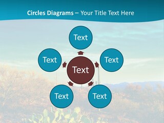 A Cactus In The Desert With A Sky Background PowerPoint Template