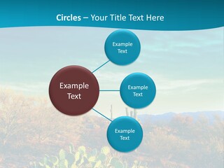 A Cactus In The Desert With A Sky Background PowerPoint Template