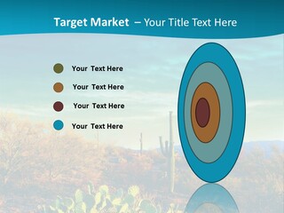 A Cactus In The Desert With A Sky Background PowerPoint Template