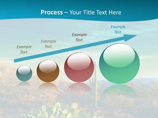 A Cactus In The Desert With A Sky Background PowerPoint Template