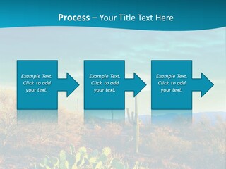 A Cactus In The Desert With A Sky Background PowerPoint Template