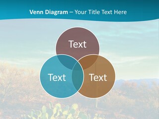 A Cactus In The Desert With A Sky Background PowerPoint Template