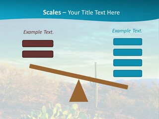 A Cactus In The Desert With A Sky Background PowerPoint Template