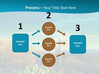 A Cactus In The Desert With A Sky Background PowerPoint Template
