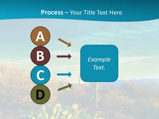 A Cactus In The Desert With A Sky Background PowerPoint Template