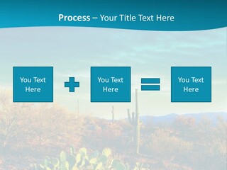 A Cactus In The Desert With A Sky Background PowerPoint Template