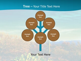 A Cactus In The Desert With A Sky Background PowerPoint Template
