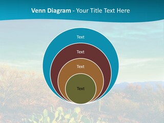 A Cactus In The Desert With A Sky Background PowerPoint Template