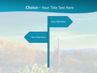 A Cactus In The Desert With A Sky Background PowerPoint Template