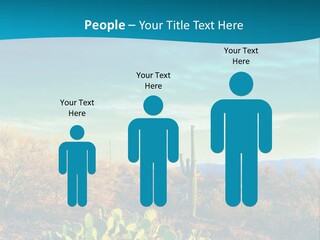 A Cactus In The Desert With A Sky Background PowerPoint Template