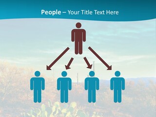 A Cactus In The Desert With A Sky Background PowerPoint Template